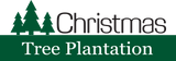 Christmas Tree Plantation